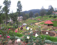 Places to See in Ooty